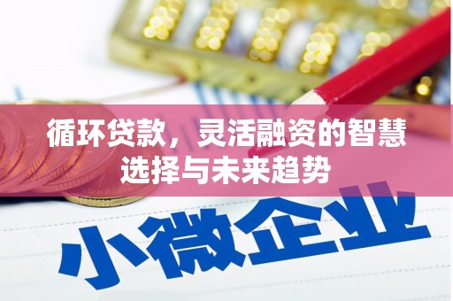 剑河循环贷款，灵活融资的智慧选择与未来趋势