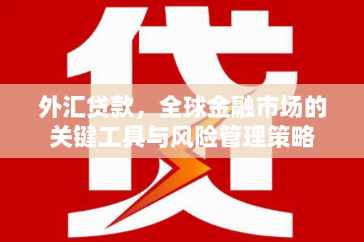 剑河外汇贷款，全球金融市场的关键工具与风险管理策略