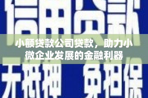 剑河小额贷款公司贷款，助力小微企业发展的金融利器