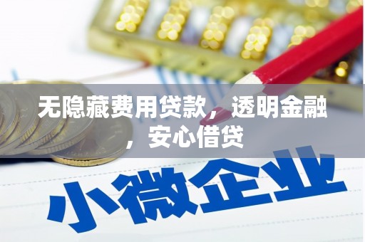 剑河无隐藏费用贷款，透明金融，安心借贷