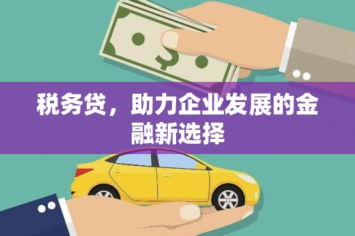 剑河税务贷，助力企业发展的金融新选择