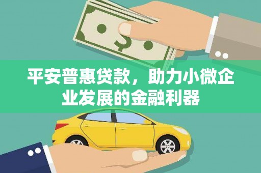 剑河平安普惠贷款，助力小微企业发展的金融利器