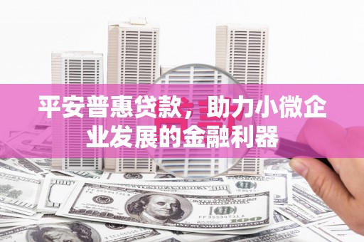 剑河平安普惠贷款，助力小微企业发展的金融利器