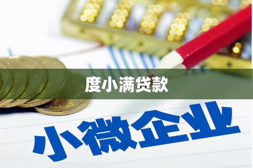 剑河度小满贷款