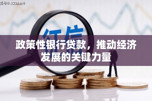剑河政策性银行贷款，推动经济发展的关键力量