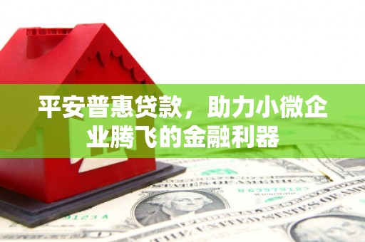 剑河平安普惠贷款，助力小微企业腾飞的金融利器