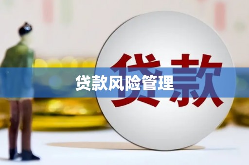 剑河贷款风险管理