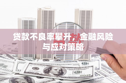 剑河贷款不良率攀升，金融风险与应对策略