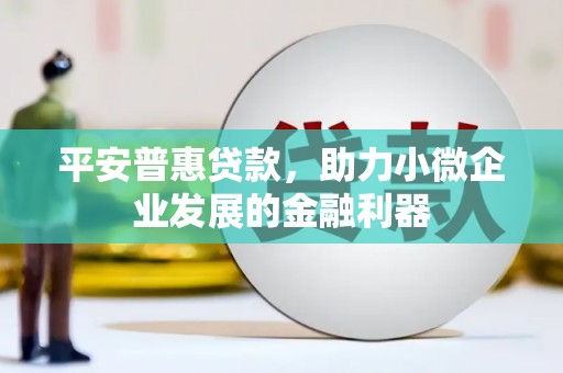 剑河平安普惠贷款，助力小微企业发展的金融利器