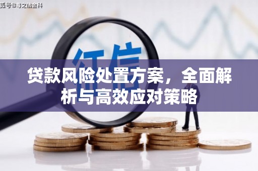 剑河贷款风险处置方案，全面解析与高效应对策略