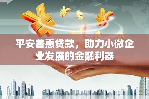 剑河平安普惠贷款，助力小微企业发展的金融利器