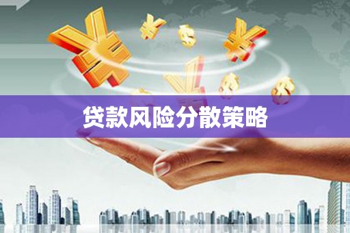 剑河贷款风险分散策略