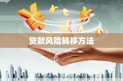 剑河贷款风险转移方法