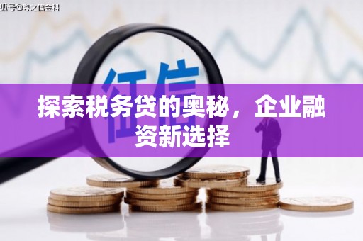 剑河探索税务贷的奥秘，企业融资新选择