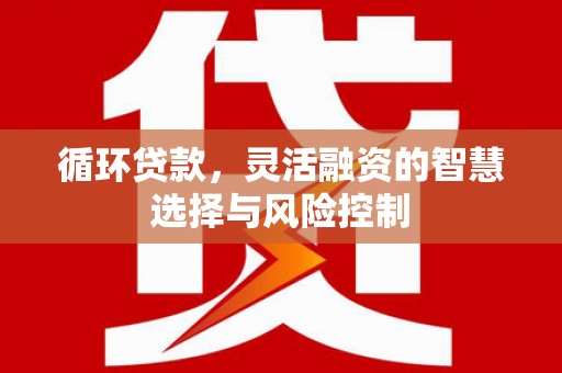 剑河循环贷款，灵活融资的智慧选择与风险控制