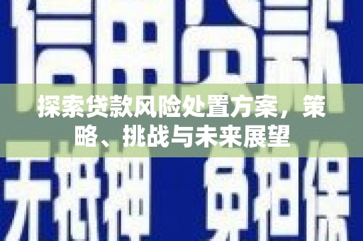 剑河探索贷款风险处置方案，策略、挑战与未来展望