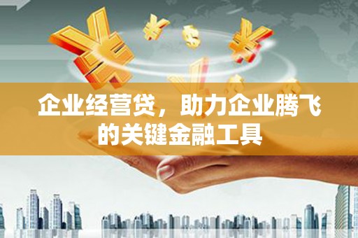 剑河企业经营贷，助力企业腾飞的关键金融工具