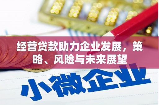 剑河经营贷款助力企业发展，策略、风险与未来展望