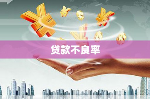 剑河贷款不良率