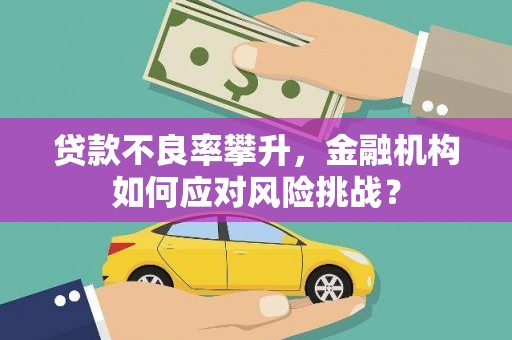 剑河贷款不良率攀升，金融机构如何应对风险挑战？