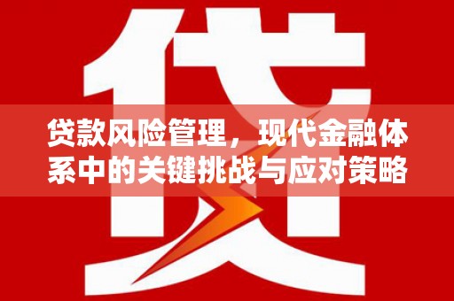 剑河贷款风险管理，现代金融体系中的关键挑战与应对策略