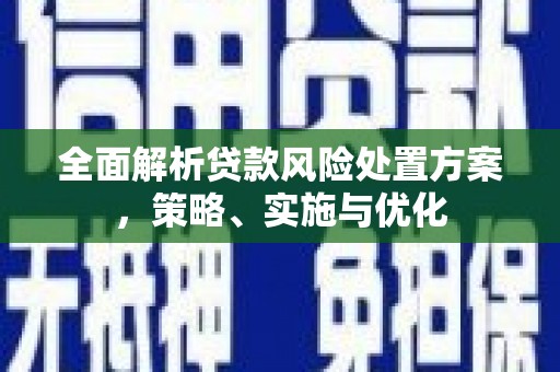 剑河全面解析贷款风险处置方案，策略、实施与优化