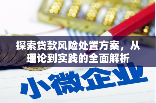 剑河探索贷款风险处置方案，从理论到实践的全面解析