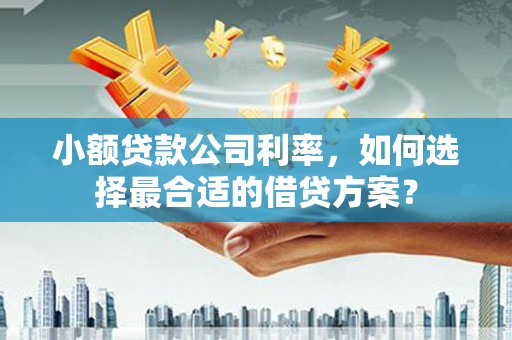 剑河小额贷款公司利率，如何选择最合适的借贷方案？