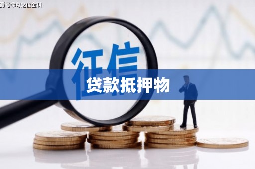 剑河贷款抵押物