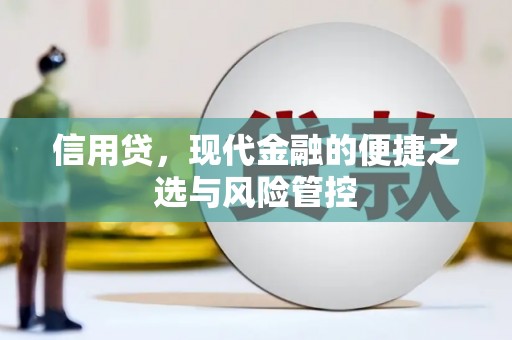 剑河信用贷，现代金融的便捷之选与风险管控