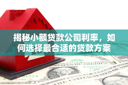 剑河揭秘小额贷款公司利率，如何选择最合适的贷款方案