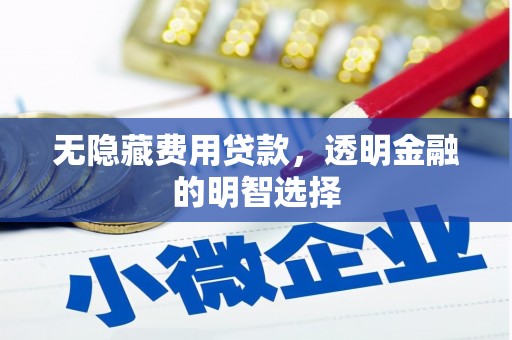 剑河无隐藏费用贷款，透明金融的明智选择
