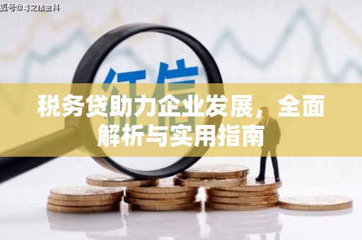 剑河税务贷助力企业发展，全面解析与实用指南