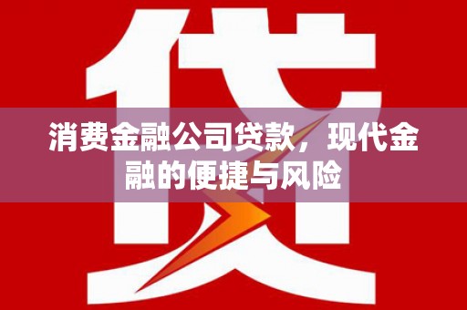 剑河消费金融公司贷款，现代金融的便捷与风险