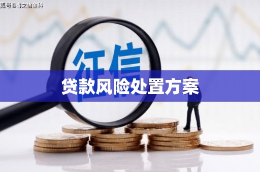 剑河贷款风险处置方案