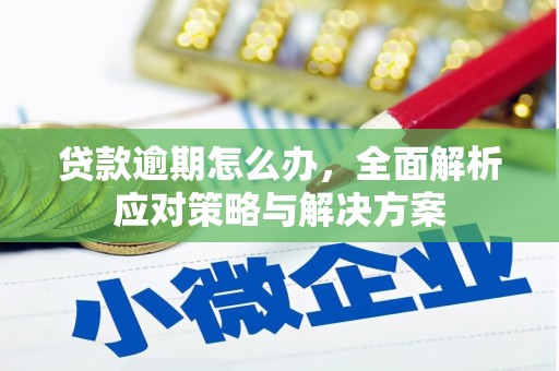 剑河贷款逾期怎么办，全面解析应对策略与解决方案