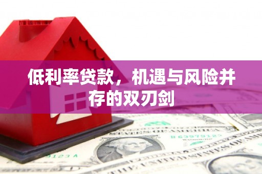 剑河低利率贷款，机遇与风险并存的双刃剑