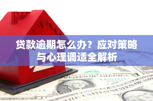 剑河贷款逾期怎么办？应对策略与心理调适全解析