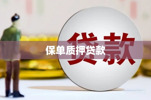 剑河保单质押贷款