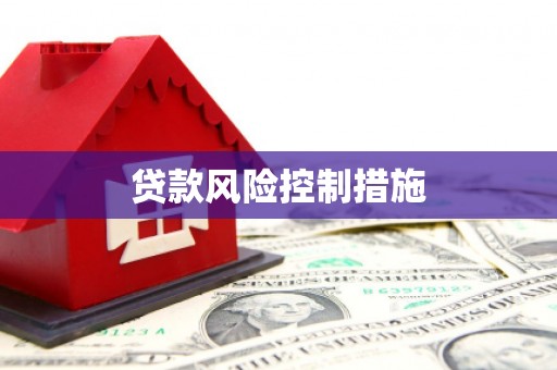 剑河贷款风险控制措施