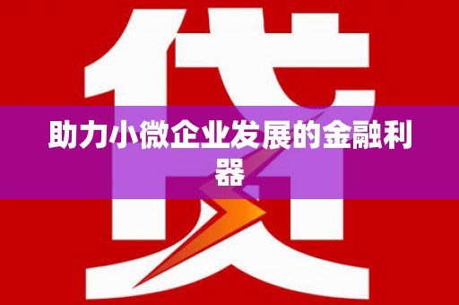 剑河助力小微企业发展的金融利器