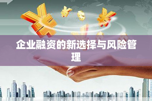 剑河企业融资的新选择与风险管理