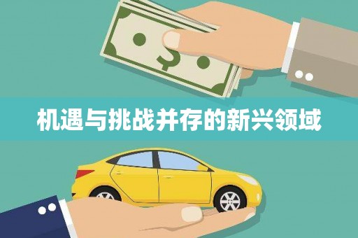 剑河机遇与挑战并存的新兴领域
