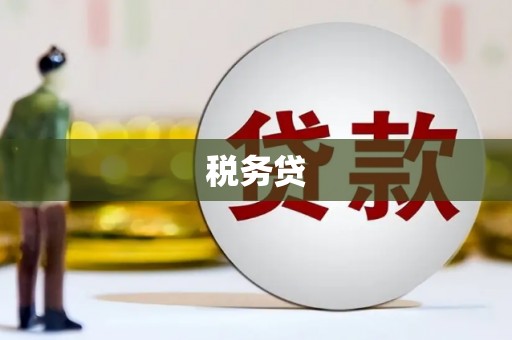 剑河税务贷
