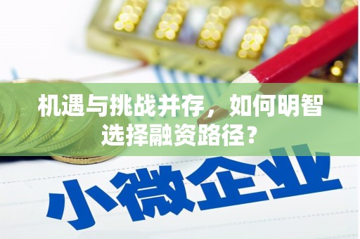 剑河机遇与挑战并存，如何明智选择融资路径？