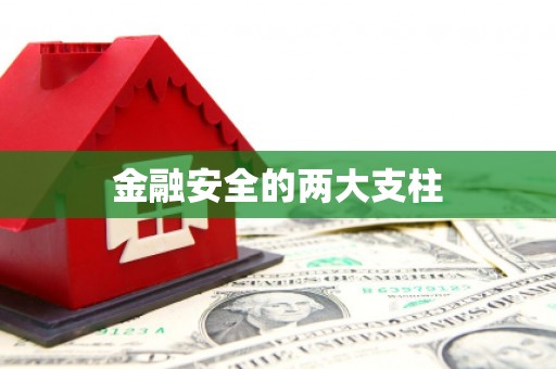剑河金融安全的两大支柱