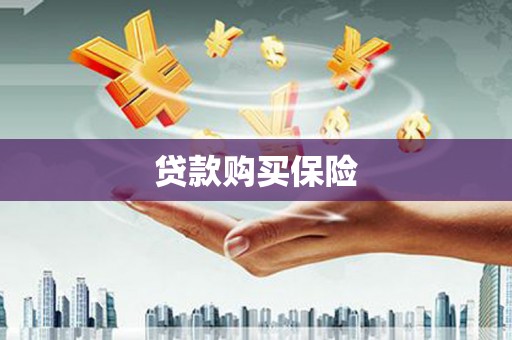 剑河贷款购买保险