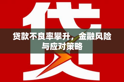 剑河贷款不良率攀升，金融风险与应对策略